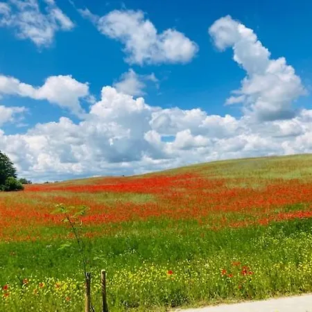 Kalinowy Sad Z Jacuzzi I Sauna База отдыха
