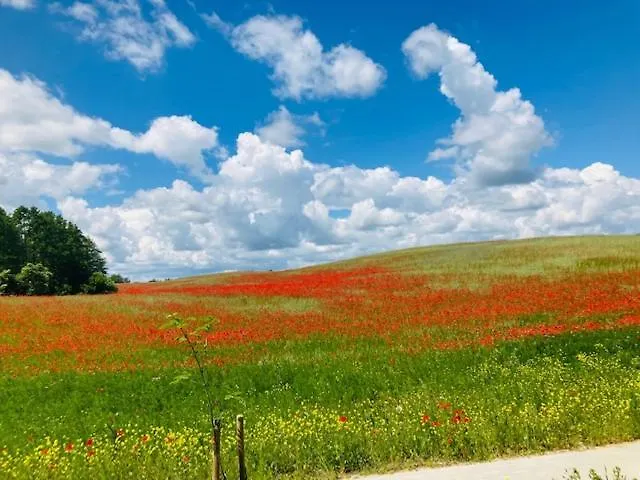 Kalinowy Sad Z Jacuzzi I Sauna Parco vacanze